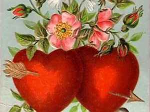 Caring for your Hand Tied Valentine's Roses In Aqua Pac