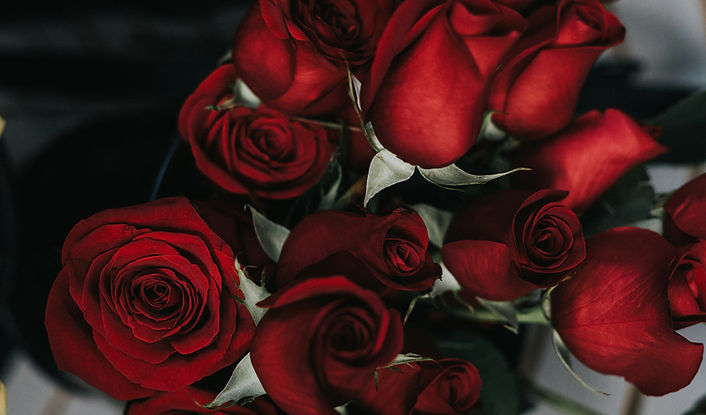 Valentine's Day Roses from Bud & Flower
