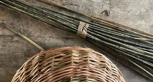 Bud & Flower Reviews