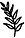 Black Fern