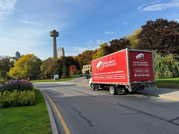 WhatsApp Image 2024-11-17 at 08.20.18.jpeg