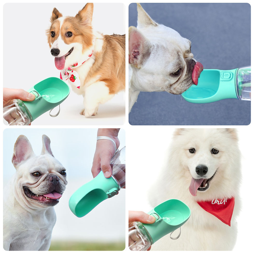 Thumbnail: Dog Water Bottle For Pet Dogs Cats Water Feeder Bowls Outdoor Travel Leakproof P