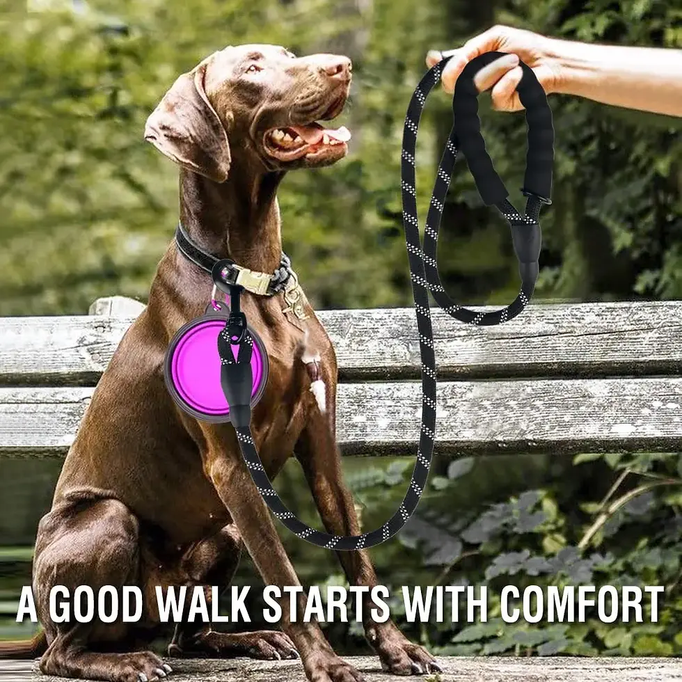 Thumbnail: Strong Dog Leash Pet Leashes Reflective Leash For Big Small Medium Dog Leash Dra
