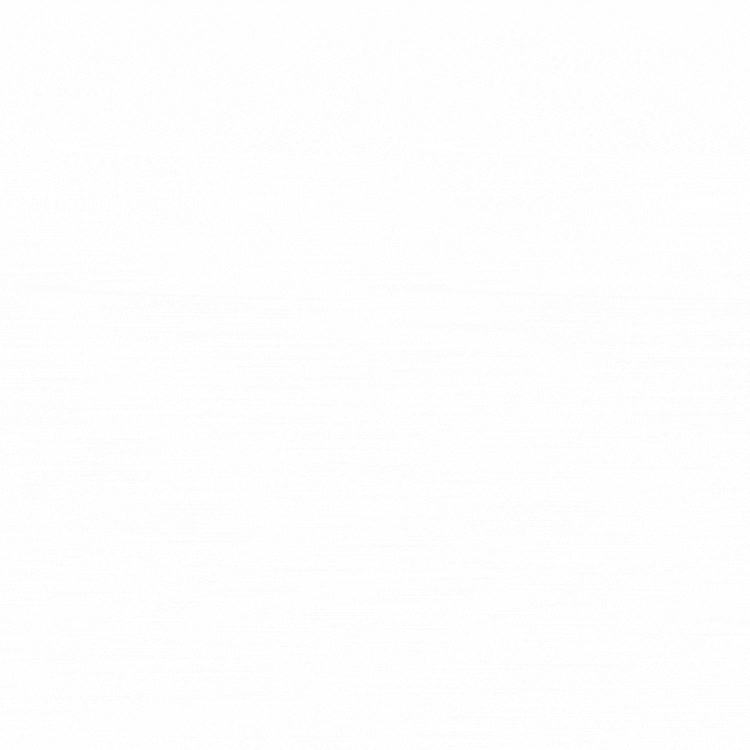 Profound Progress Tutoring Animated Logo.gif