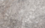 silver_antico