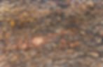 web_starry_night