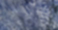 Brazilian Blue