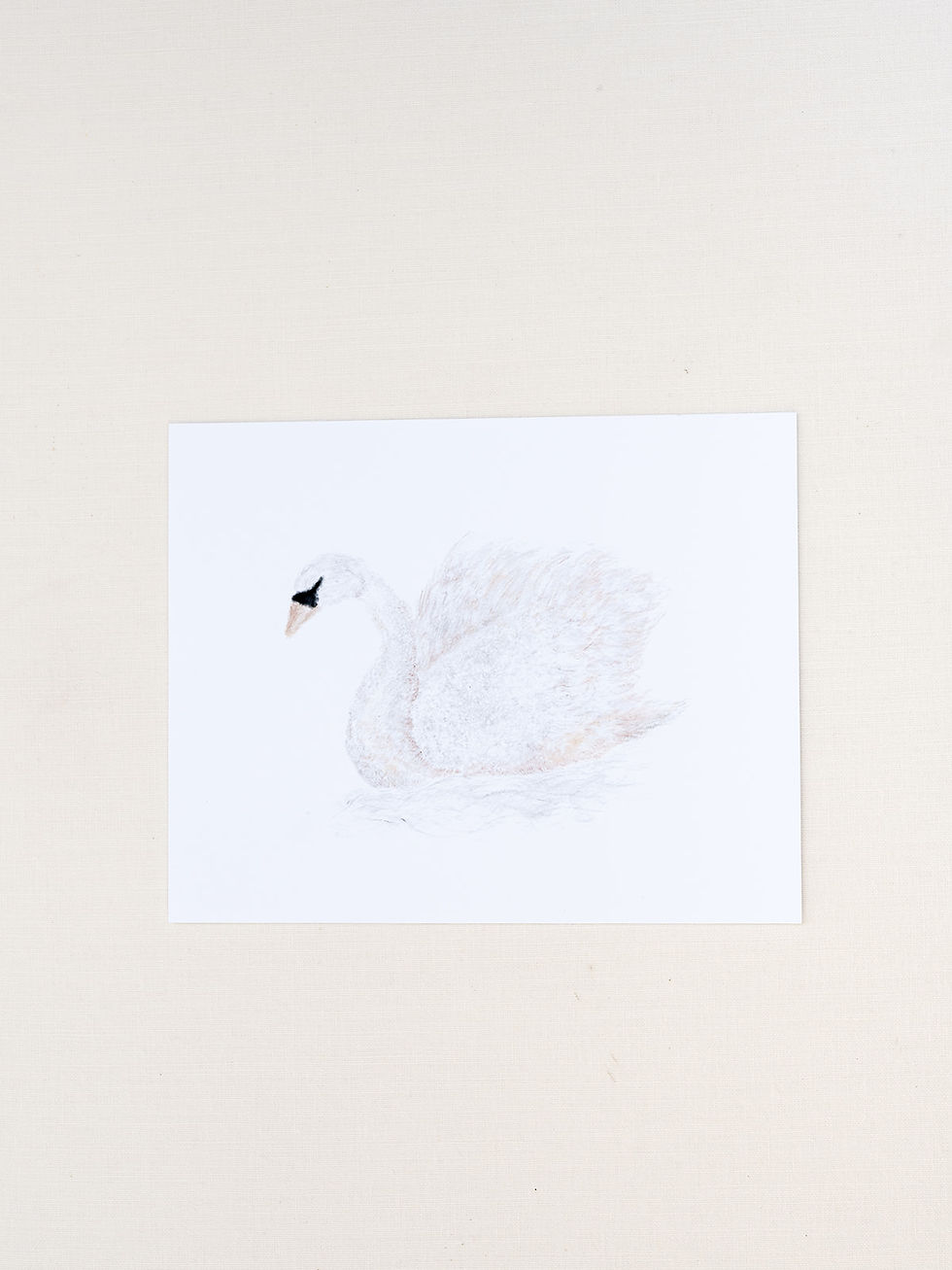 Melane & Co. The Swan wall print measuring 10" X 8"