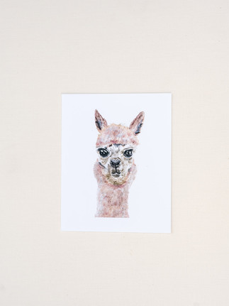 Melane & Co. alpaca wall print