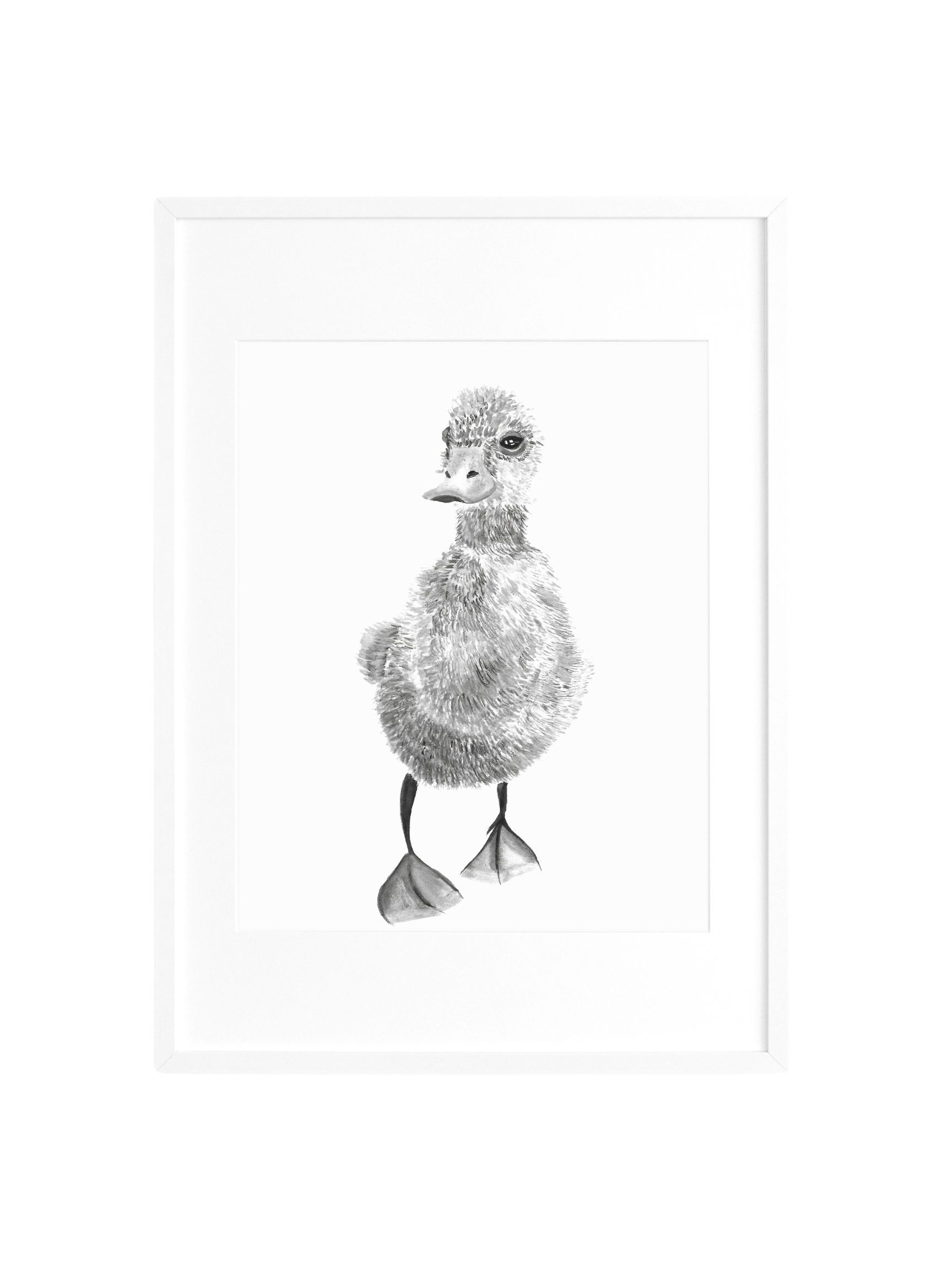 Waddle, Waddle Print