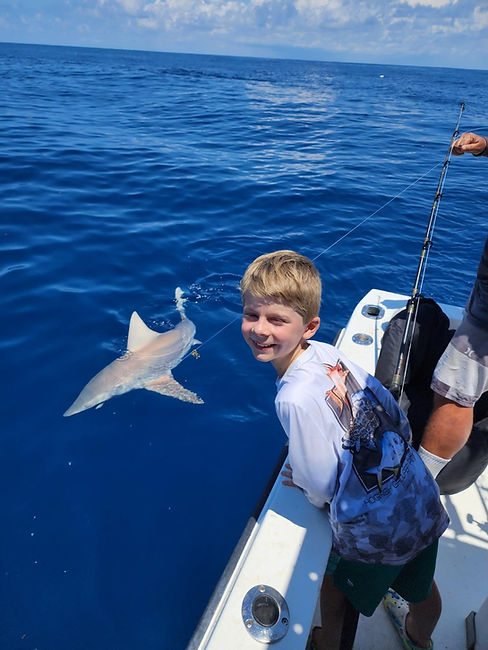 image_6487327 (6).JPG