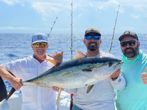 image_6487327 (1).JPG