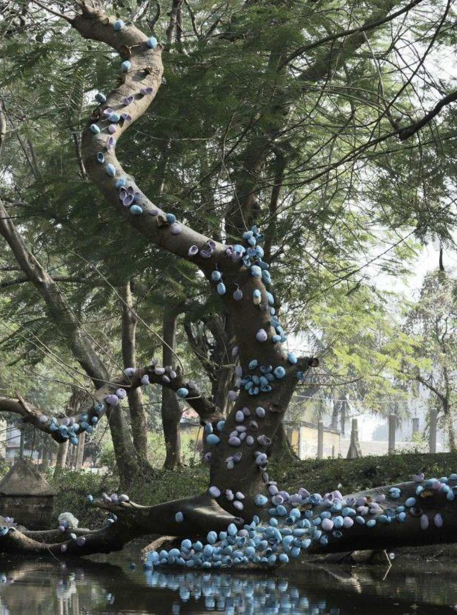 On-site nature sculpture titled 'New Life'