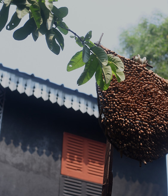Beehive sculpture made of scrap decorating Itika homestay, Santiniketan
