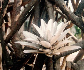 Outdoor Nature Installation titled 'Gateway to Heaven'