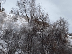 snowy hillside