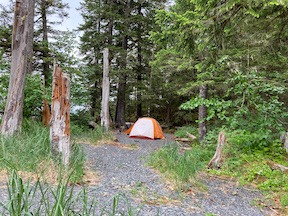 Decision Point State Marine Park, forest and tent