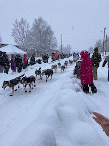 photo of dog team, sled and musher, Ramey Smyth's team at the 2022 Iditarod ceremonial start in Anchorage