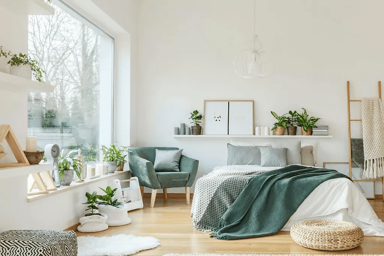 Best-Bedroom-Plants-1024x683.webp