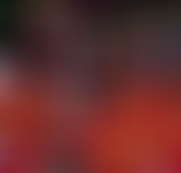 Baile Municipal celebra 59ª edição neste sábado