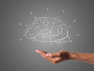 Cómo te llevas con tus hemisferios cerebrales?