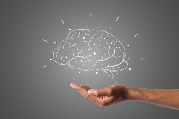 Cómo te llevas con tus hemisferios cerebrales?