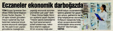 NEFES