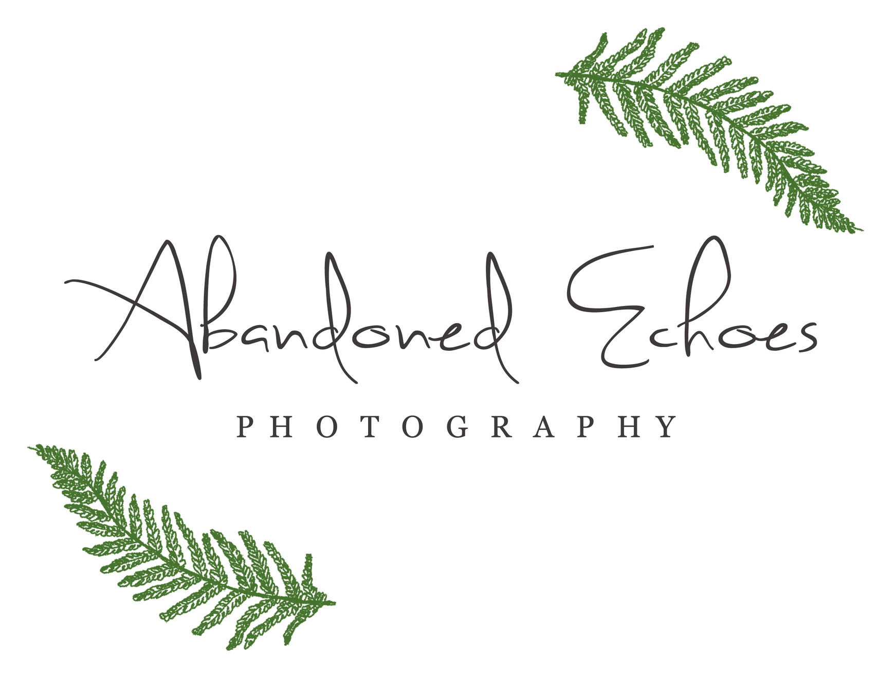 Abandoned Places Abandoned Echoes