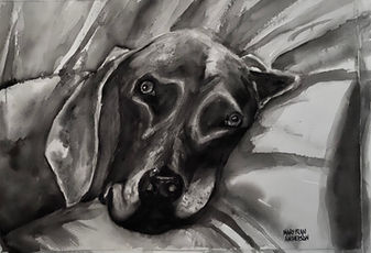 Carol'sdog.jpeg