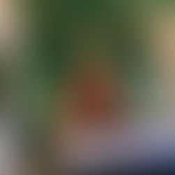 Torre Suite Renovation