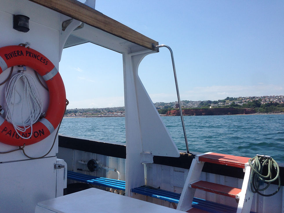 Catch a ferry in Torquay Harbour to Paignton, Brixham or Dartmouth