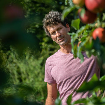 Wein, Lindau, Weingut