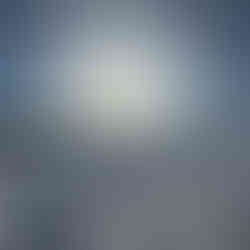 Lovely December winter sun