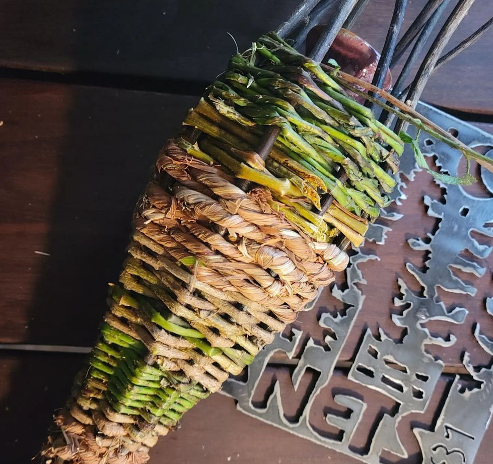 Screenshot_20230408_162849_Instagram