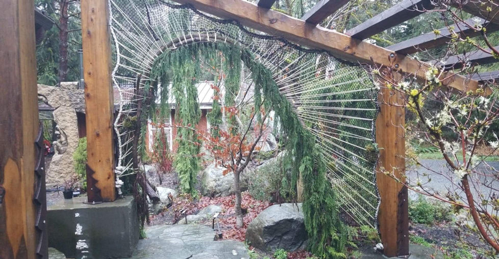 received_1421216428061343