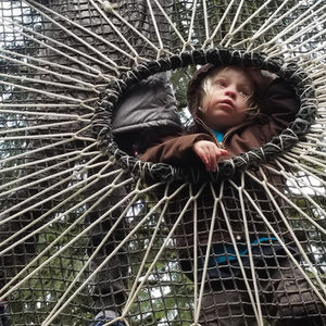 Arbors and Decorative Panels