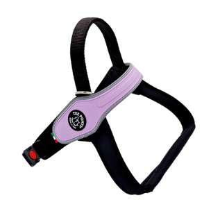 primo reflect lila.png