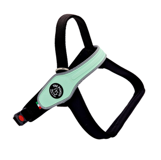 primo reflect mint.png