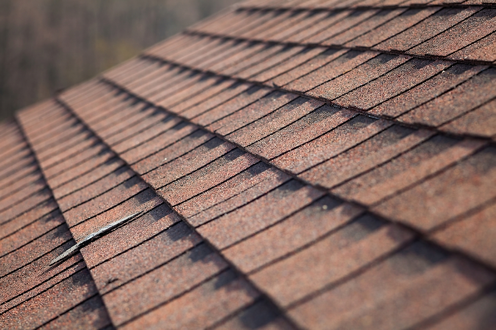 Roof Shingles Closeup