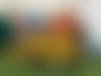 І місце в районному етапі