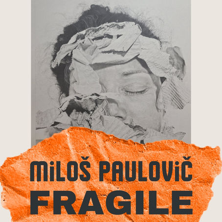 Miloš Paulovič: Fragile