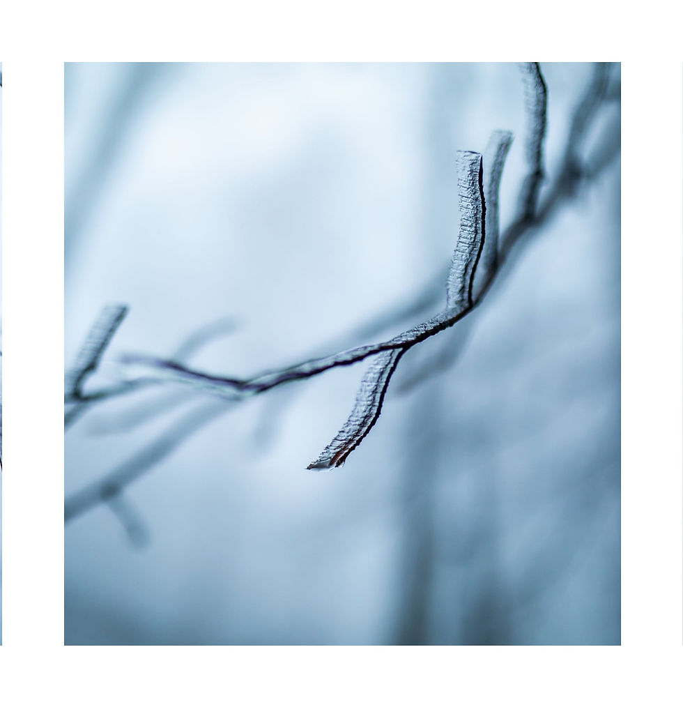 Marcela Pančíková