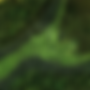 Moss-Wall-GA.png