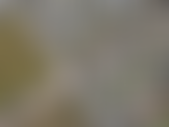 VAF - Traffic & Historic Preservation