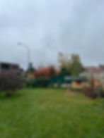 Arbre abattu à Verrières le Buisson