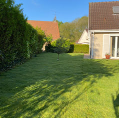 Engazonnement par placage