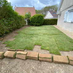 Engazonnement par placage