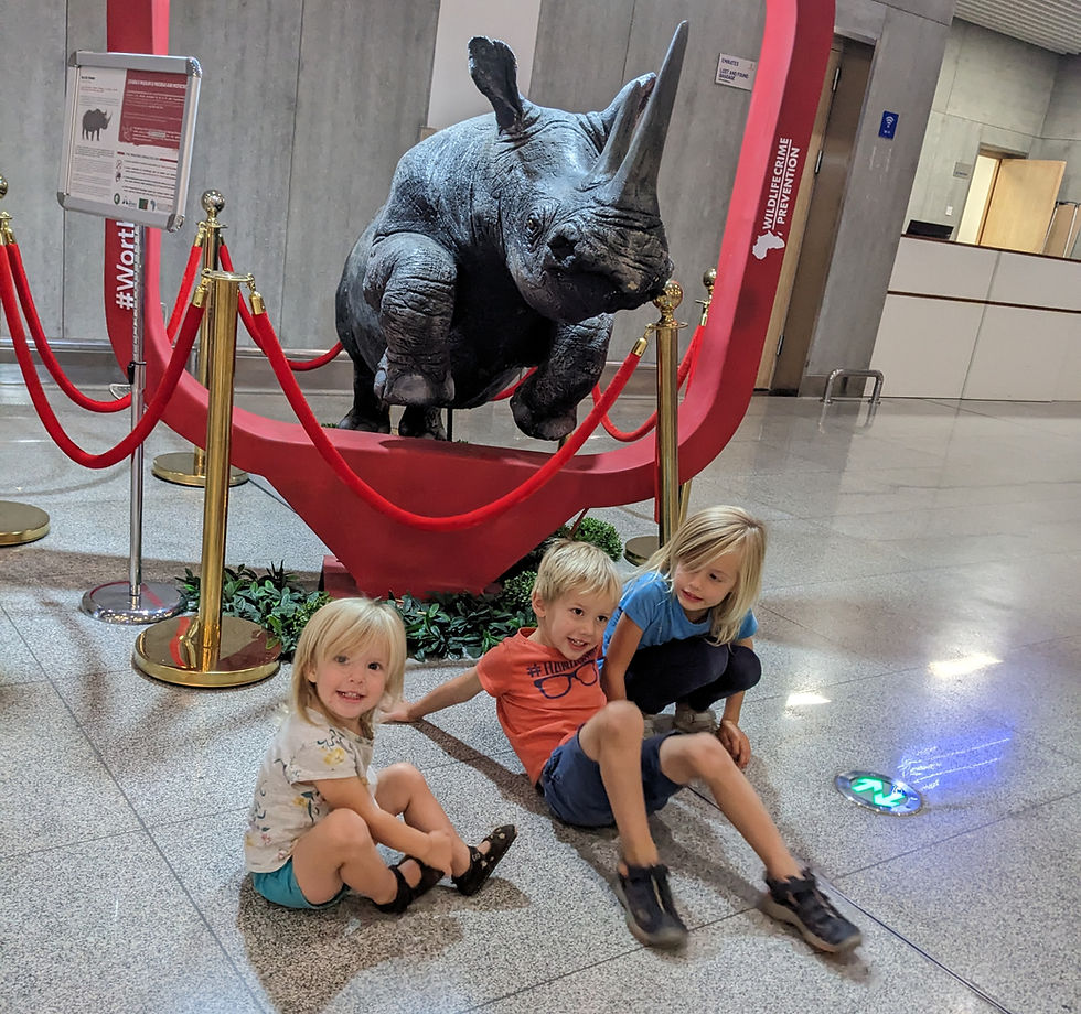 USA, here we come (for a visit)!