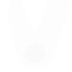 Rina Necklace in color Light – main product photo