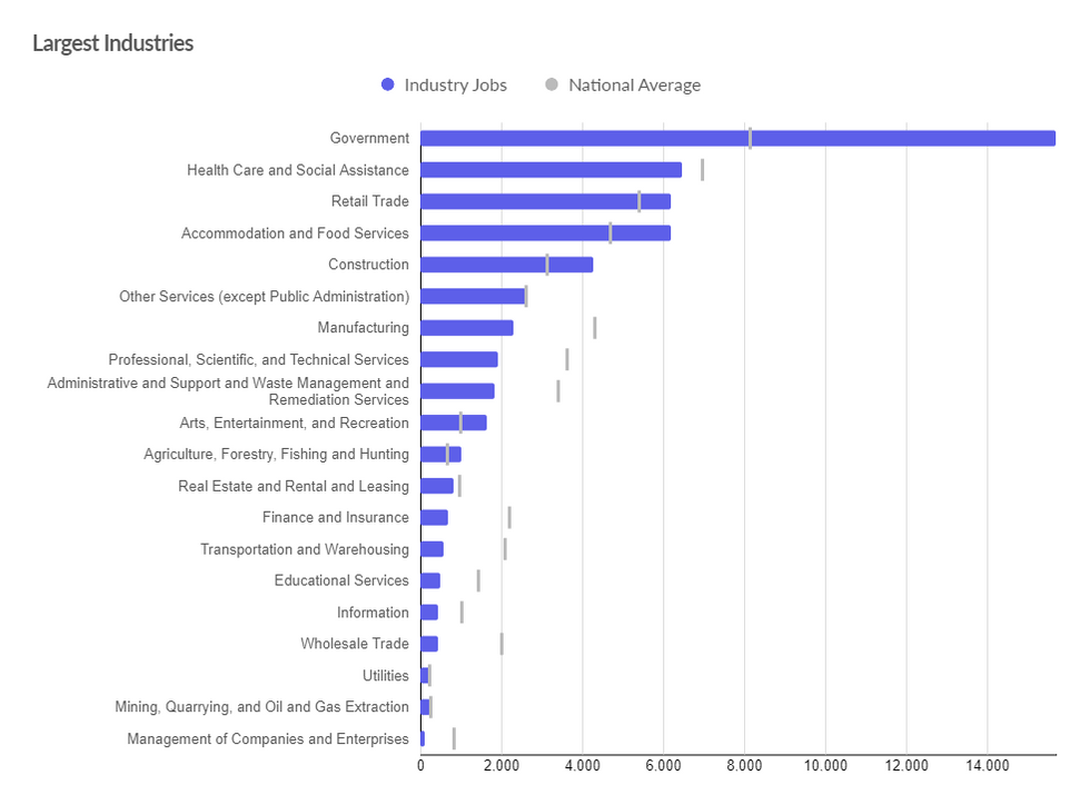 Largest Industries (1).png